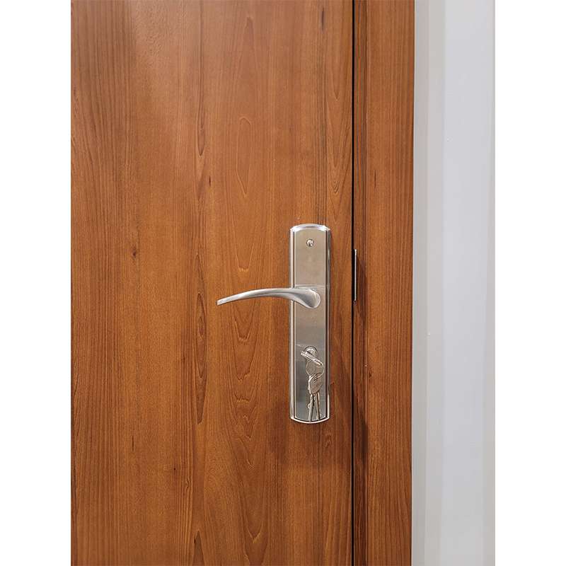 Lever Handle On Backplate SS304