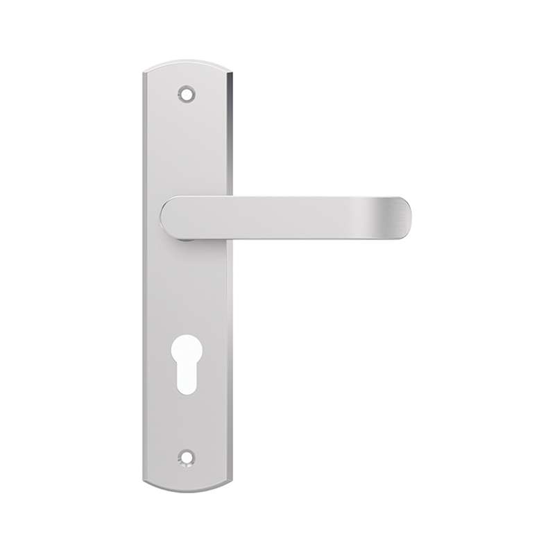 Tay Nắm Gạt Nguyên Thể Inox 304