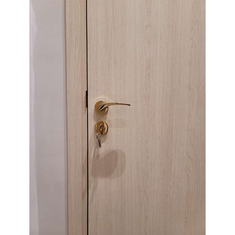 Solid Lever Handle SS304 Polished Gold