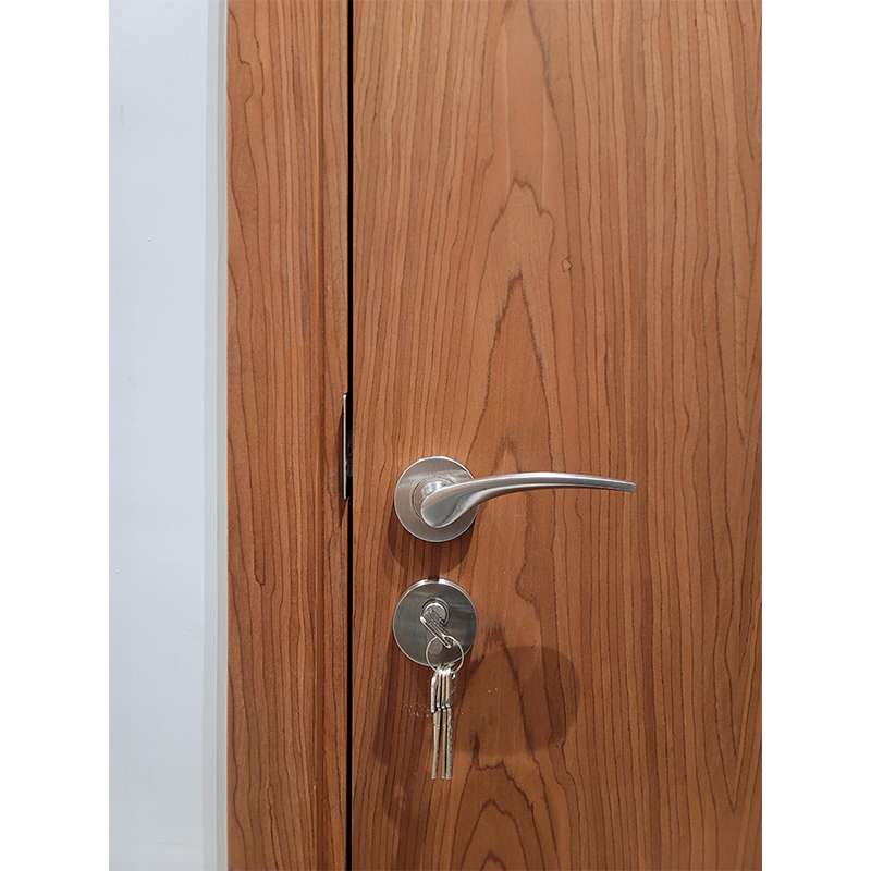Solid Lever Handle SS304