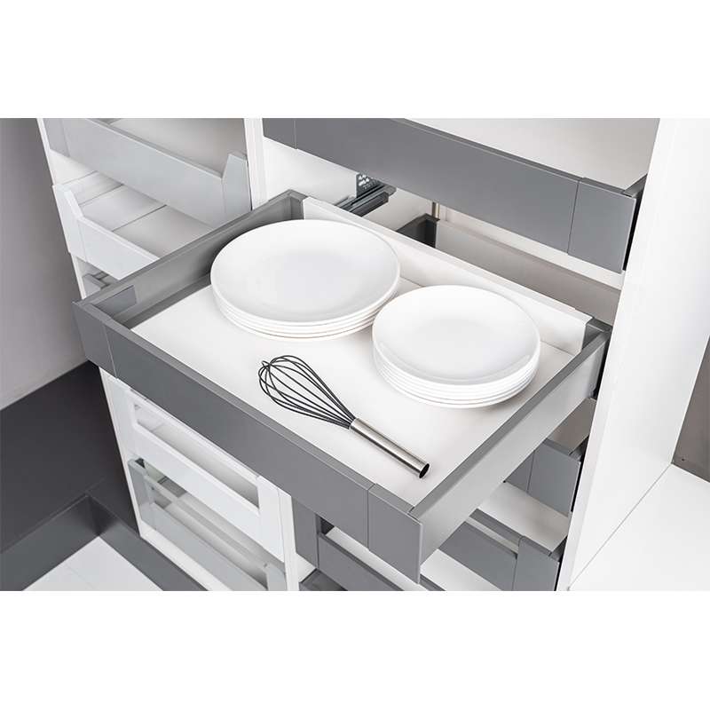 Ray Hộp Âm Slim Dwd-I90 Series (Chiều Cao Thấp)