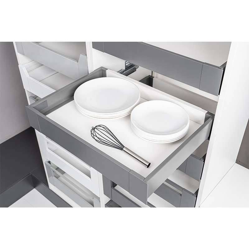 Ray Hộp Âm Slim Dwd-I90 Series (Chiều Cao Thấp)