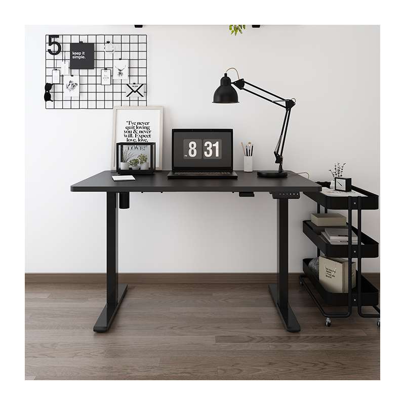 Phụ Kiện Bàn Nâng Hạ Bằng Điện (1 Động Cơ Điện)