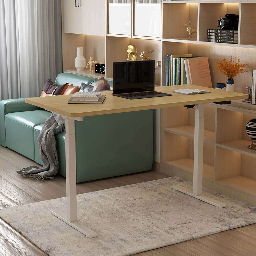 Phụ kiện bàn nâng hạ bằng điện(1 động cơ điện)