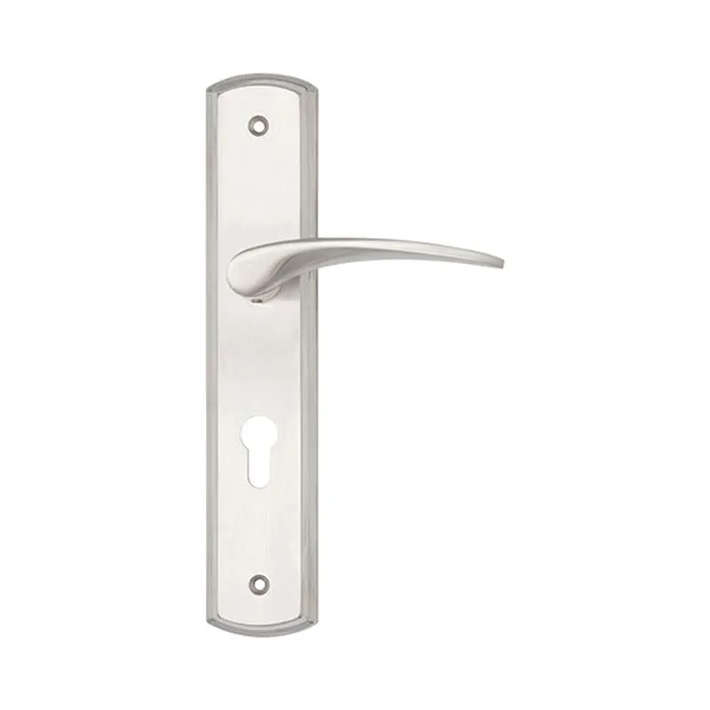 Tay Nắm Gạt Nguyên Thể Inox 304