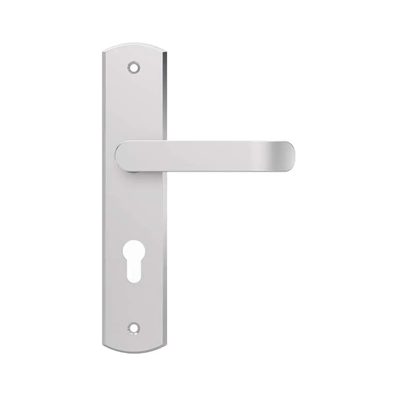Tay Nắm Gạt Nguyên Thể Inox 304