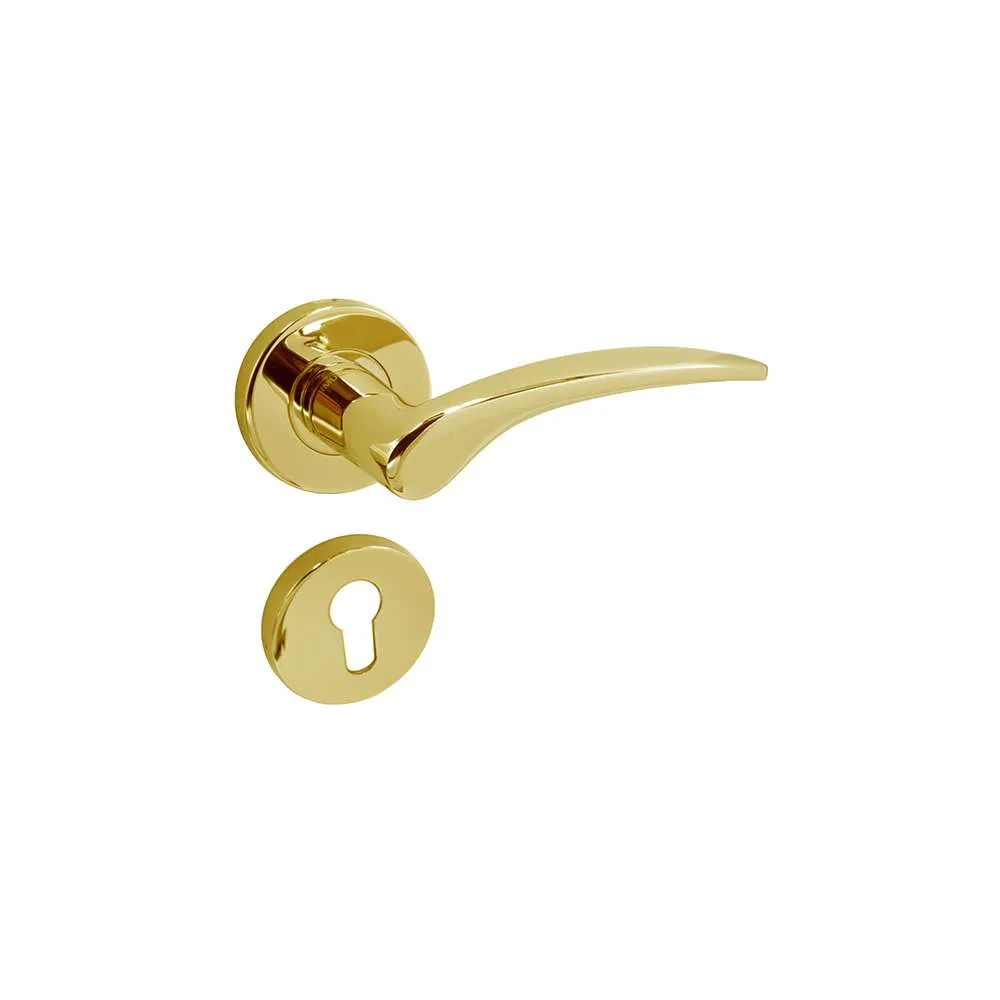 Solid lever handle_SS304_Polished gold
