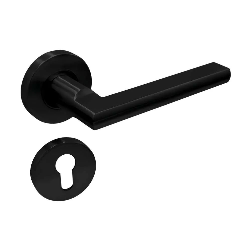 Solid lever handle_SS304_Satin black