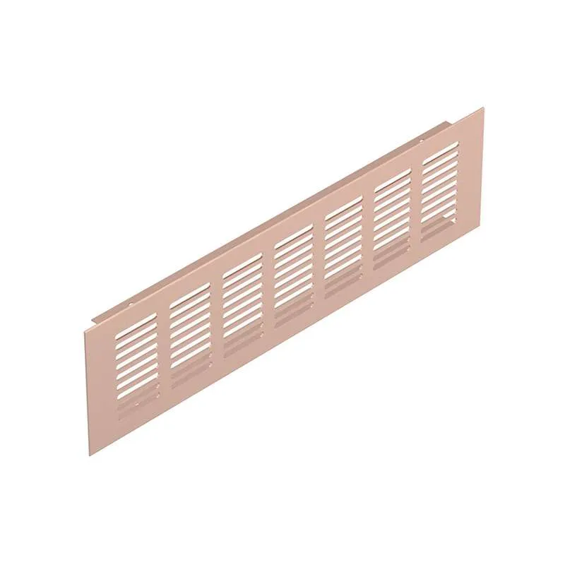 Tấm Thông Gió 50X300mm Màu Champagne Xước