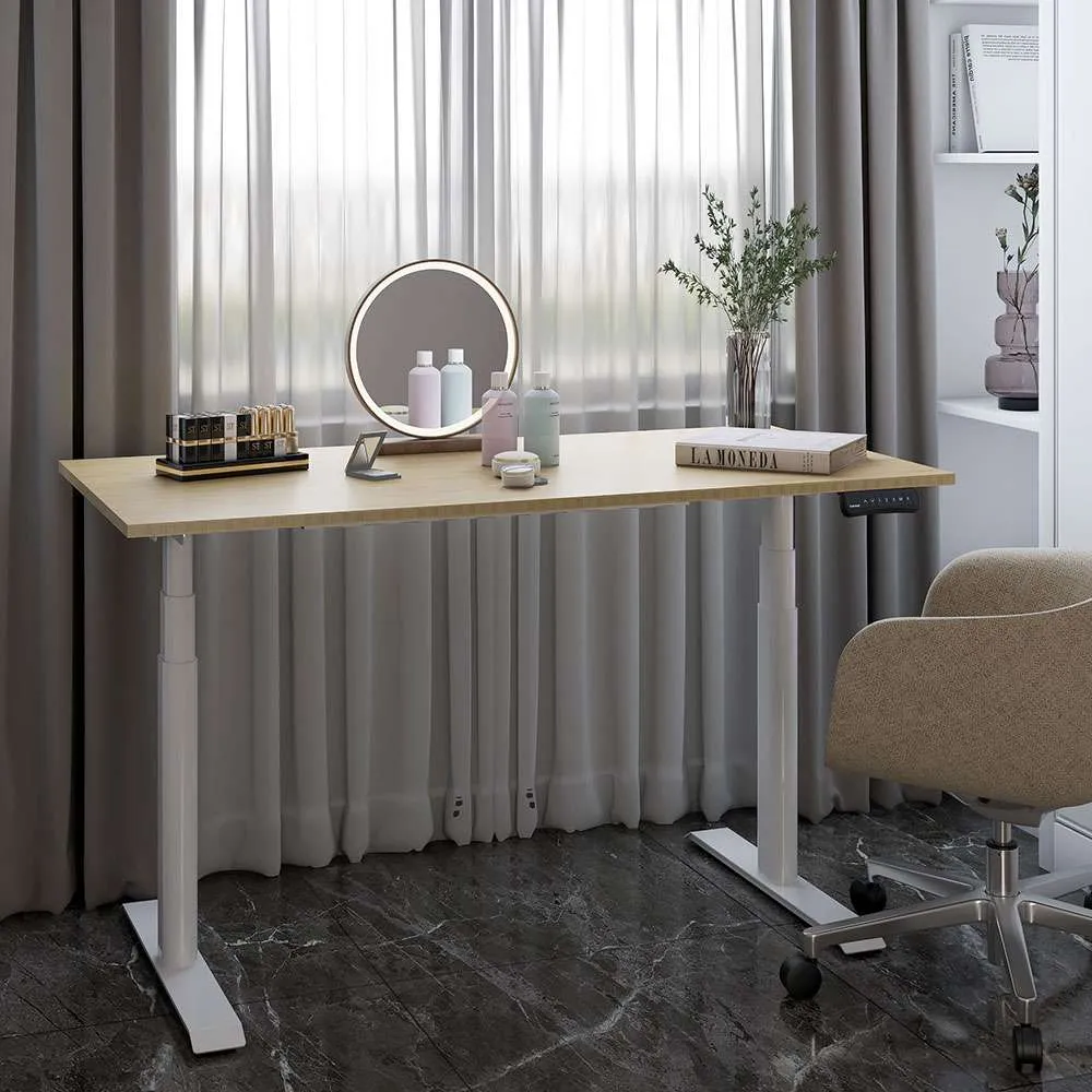 Phụ kiện bàn nâng hạ bằng điện(2 động cơ điện)